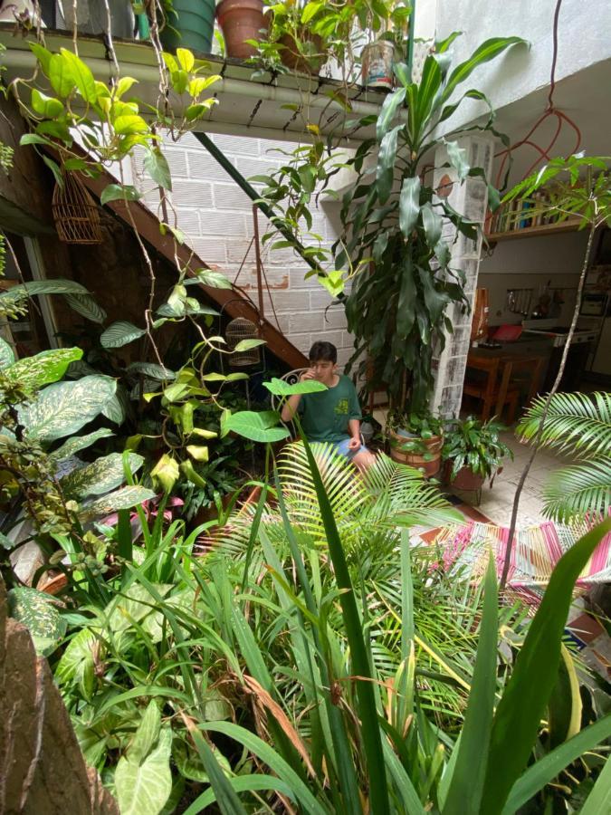 Hostal Casa Las Tias Medellín Zewnętrze zdjęcie